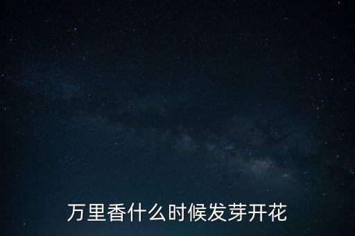 万里香，请问这是什么花