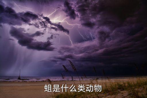 蛆是什么类动物