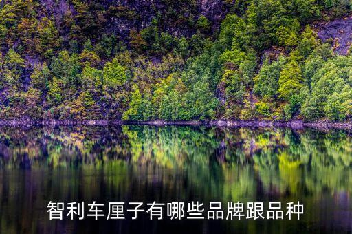 智利樱桃，智利车厘子有哪些品牌跟品种