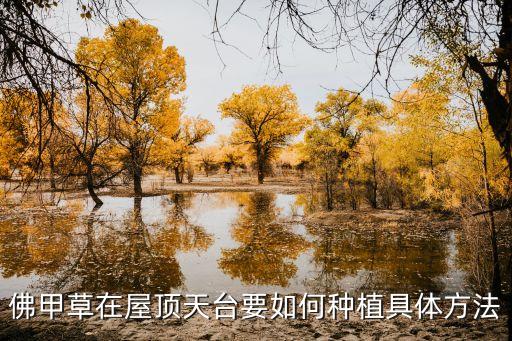 佛甲草在屋顶天台要如何种植具体方法