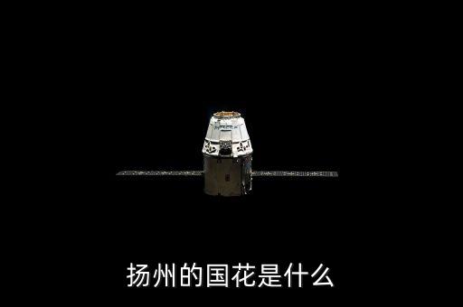扬州市花琼花，琼花又叫什么可以吃吗