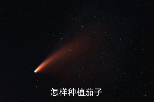 茄子种植方法，怎样种植茄子