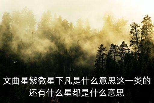 文曲星紫微星下凡是什么意思这一类的还有什么星都是什么意思