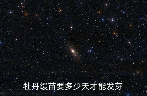 牡丹缓苗要多少天才能发芽