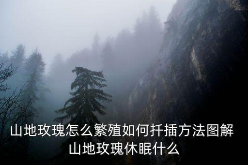 山地玫瑰怎么繁殖，山地玫瑰怎么发根