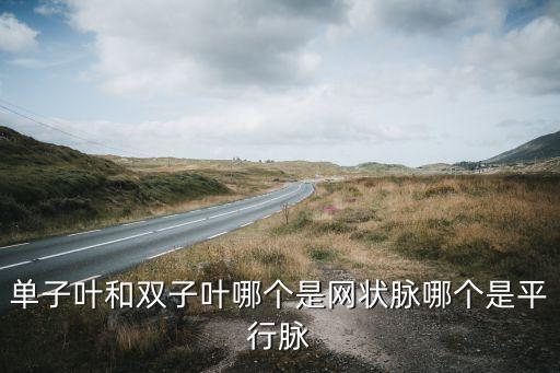 单子叶和双子叶哪个是网状脉哪个是平行脉