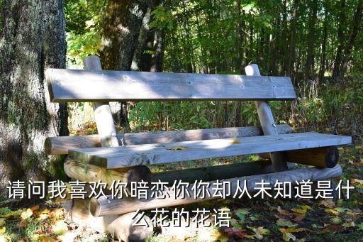 请问我喜欢你暗恋你你却从未知道是什么花的花语