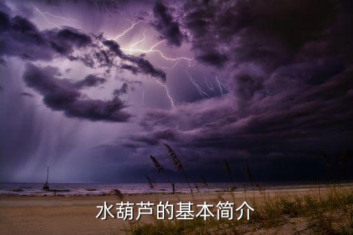 水葫芦的基本简介