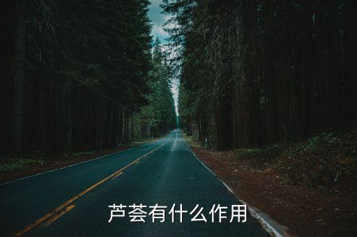 芦荟有什么作用