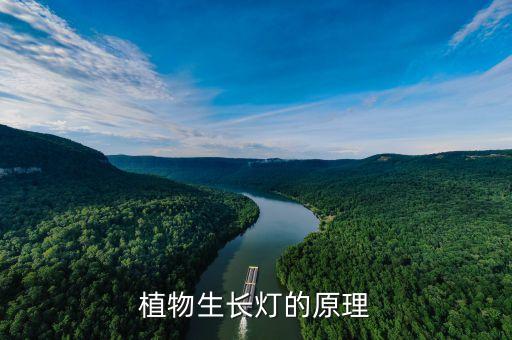 植物生长灯的原理
