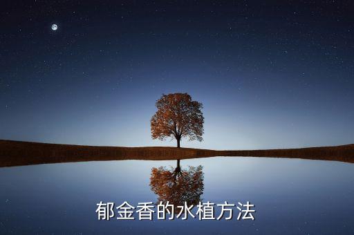郁金香的水植方法