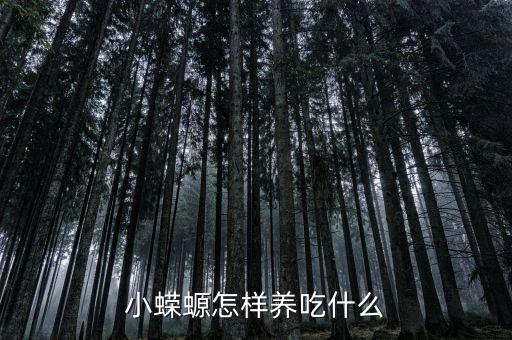 小蝾螈怎样养吃什么