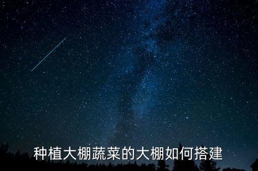 种植大棚蔬菜的大棚如何搭建