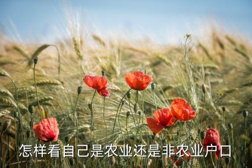 非农业怎么看，怎样看自己是农业还是非农业户口