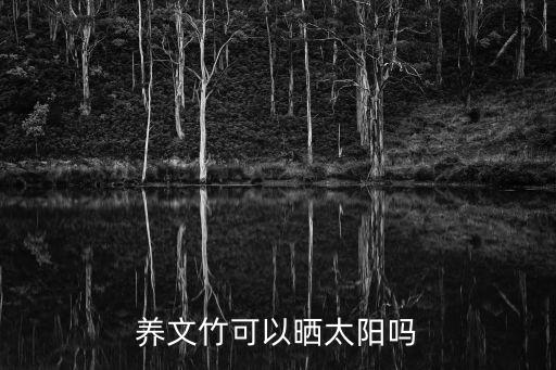 养文竹可以晒太阳吗