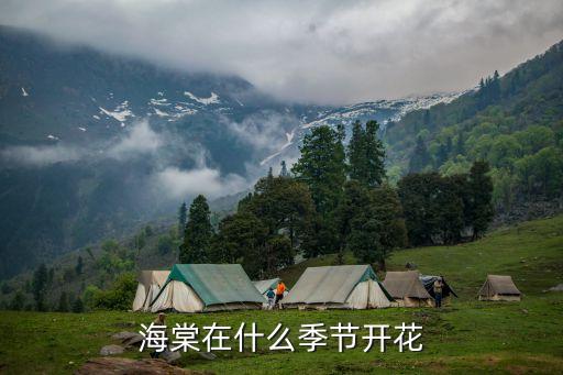 海棠在什么季节开花