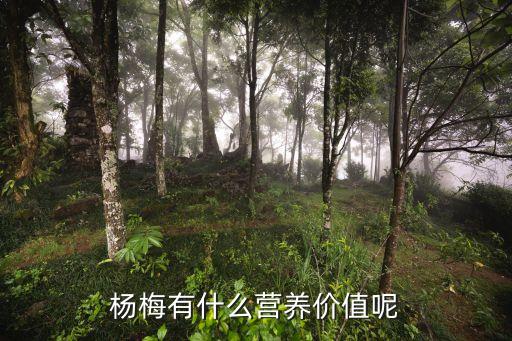 杨梅有什么营养价值呢