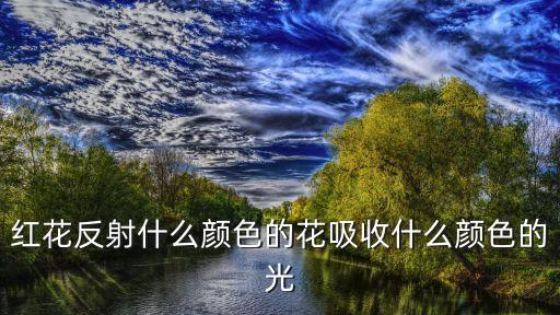 红花是什么，红花反射什么颜色的花吸收什么颜色的光