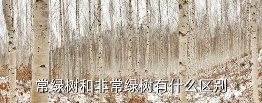 常绿树和非常绿树有什么区别