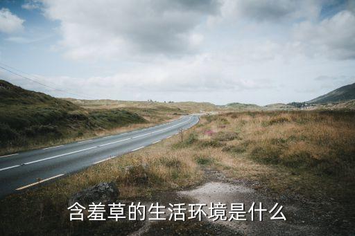 含羞草的生活环境是什么