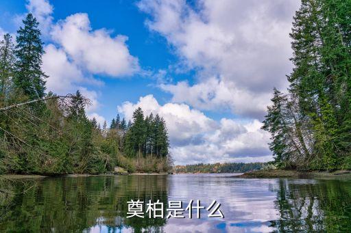 奠柏是什么