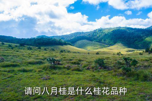 八月桂花，八月桂与月月桂有什么区别