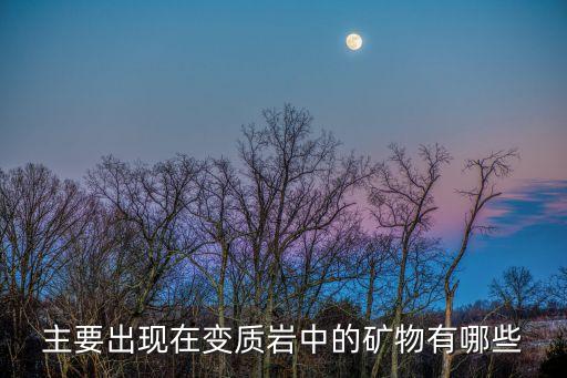 主要出现在变质岩中的矿物有哪些