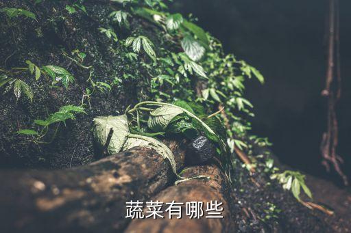 蔬菜有哪些