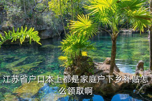江苏省户口本上都是家庭户下乡补贴怎么领取啊