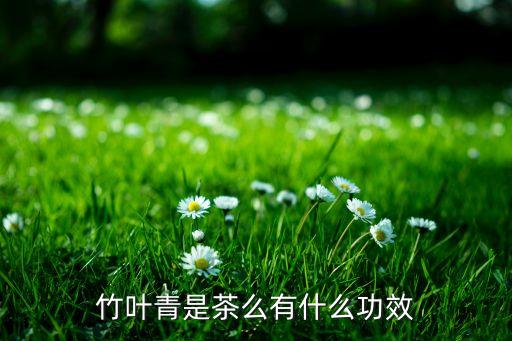 竹叶青是茶么有什么功效