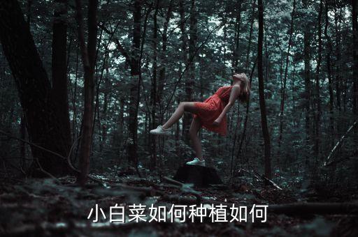 小白菜如何种植如何
