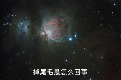 尾毛，剩下两根尾毛不掉怎么办