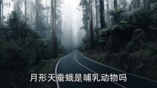 月形天蚕蛾，美洲月型天蚕蛾长毛吗