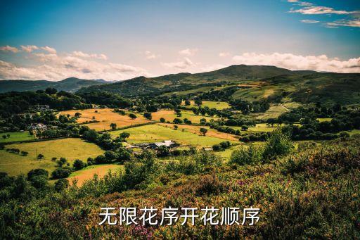 无限花序，无限花序和有限花序是指什么