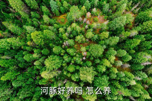 河豚好养吗，绿河豚好养吗