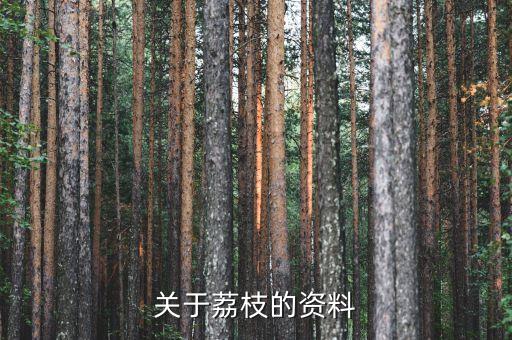 荔枝的图片，关于荔枝的资料