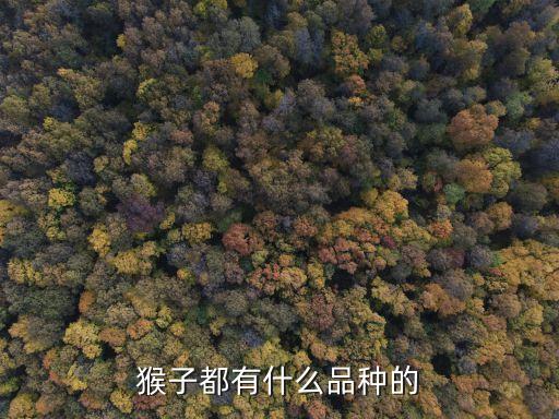 猴子都有什么品种的