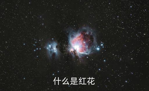 什么是红花