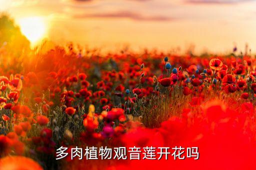 观音莲多肉，多肉植物观音莲开花吗