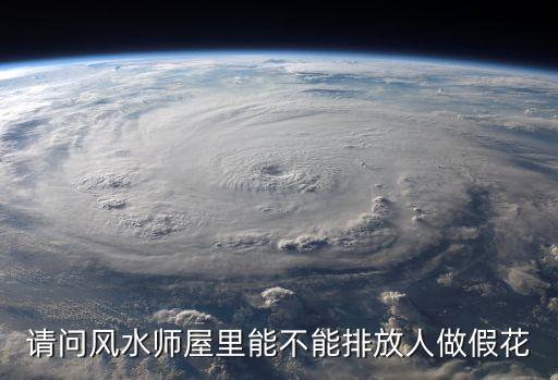 家里可以放假花吗，请问风水师屋里能不能排放人做假花