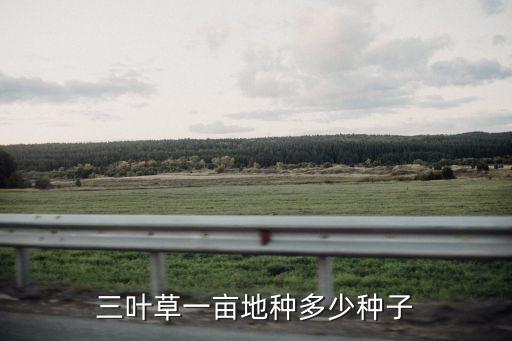 三叶草一亩地种多少种子
