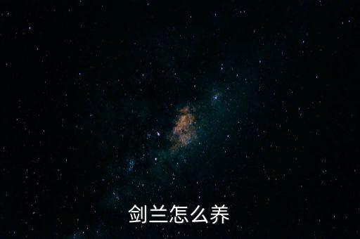 剑兰，剑兰怎么养