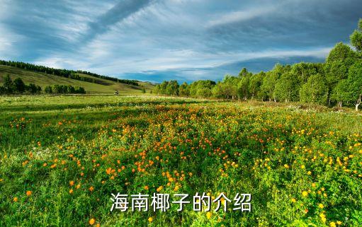 海南椰子的介绍