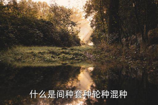 茶果间作种植方式的茶是什么，什么是间种套种轮种混种