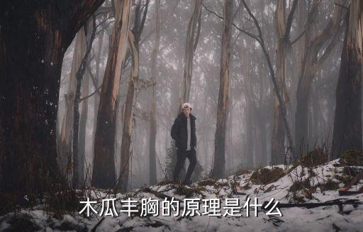 木瓜胸，如何食用木瓜丰胸