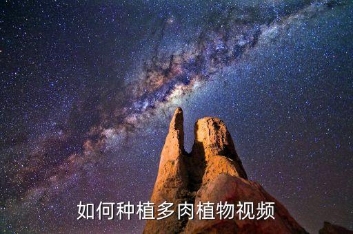 怎么种多肉，多肉植物叶子怎么种