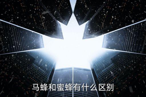马蜂和蜜蜂有什么区别