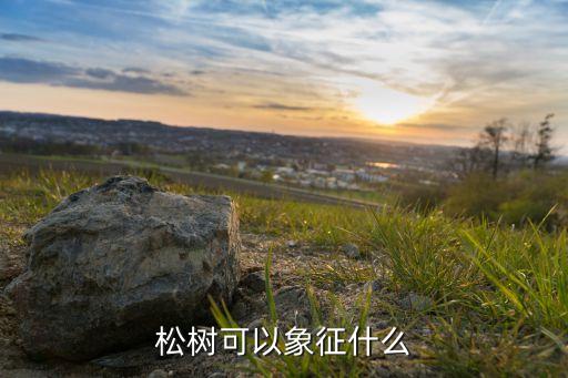 松树寓意，松树可以象征什么