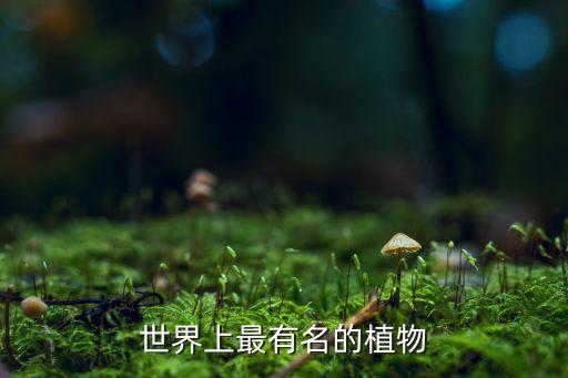 世界上最有名的植物