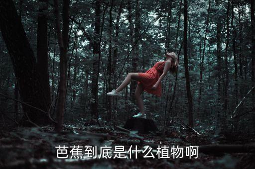 芭蕉到底是什么植物啊